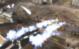 Gameplay preview 3